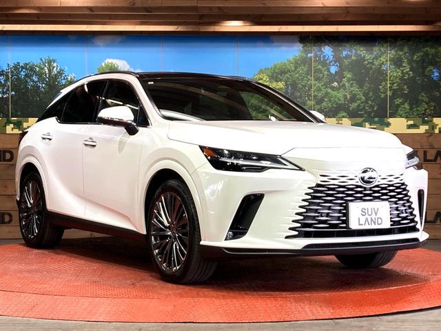 TOYOTA LEXUS RX350H 2023 Image 31