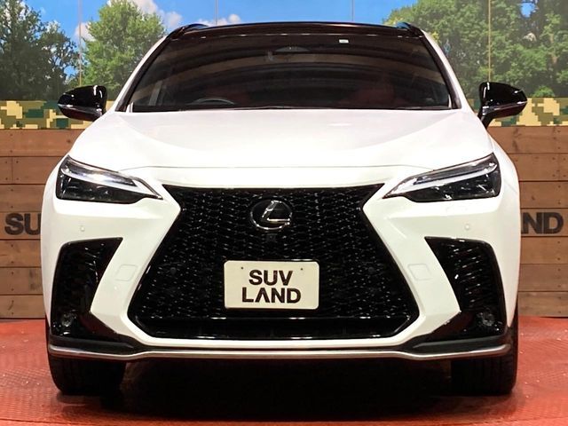 TOYOTA LEXUS NX350H 2023 Image 31