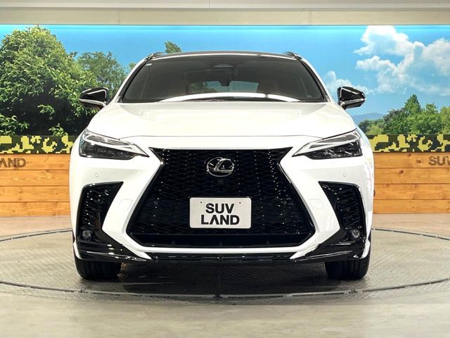 TOYOTA LEXUS NX350H 2023 Image 31