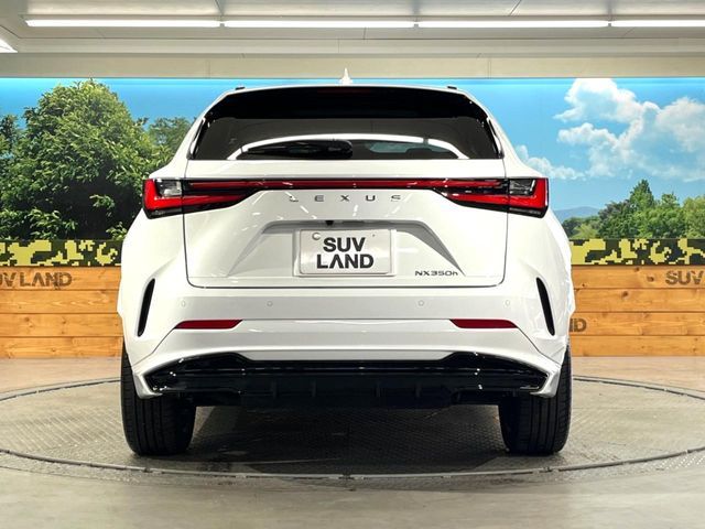 TOYOTA LEXUS NX350H 2023 Image 31