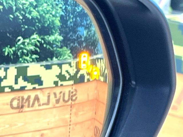 TOYOTA LEXUS NX350H AWD 2023 Image 31