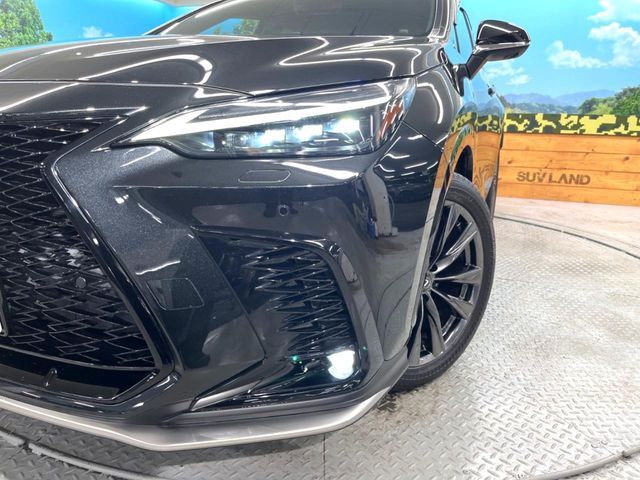 TOYOTA LEXUS NX350H AWD 2023 Image 31