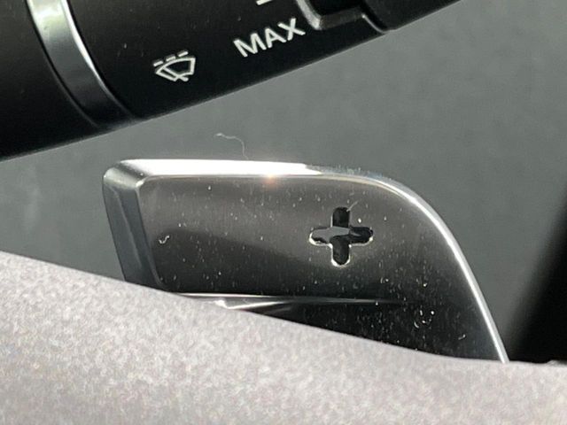 ROVER RANGE  EV 2024 Image 31