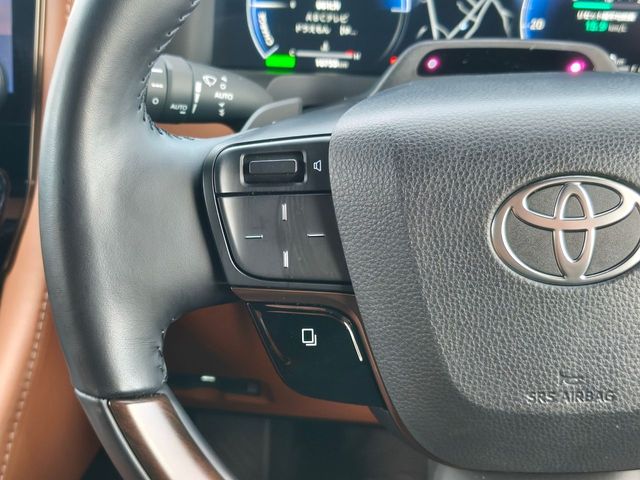 TOYOTA VELLFIRE  HYBRID 2025 Image 31