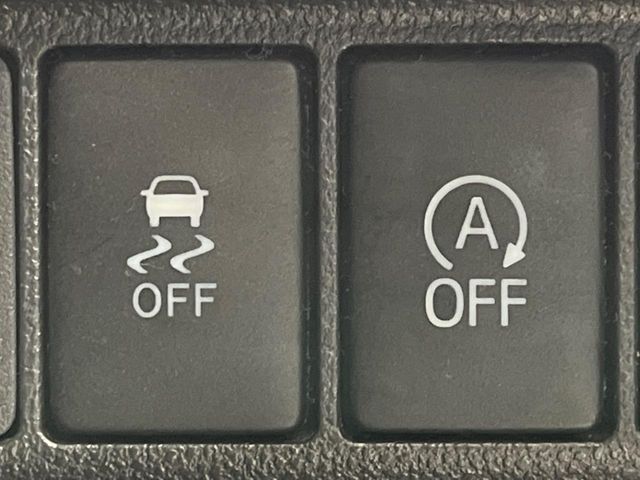 DAIHATSU CAST STYLE 2016 Image 31