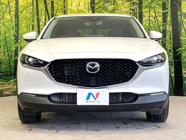 MAZDA CX-30 2020 Image 31