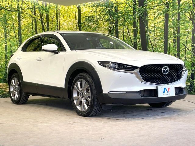 MAZDA CX-30 2020 Image 31