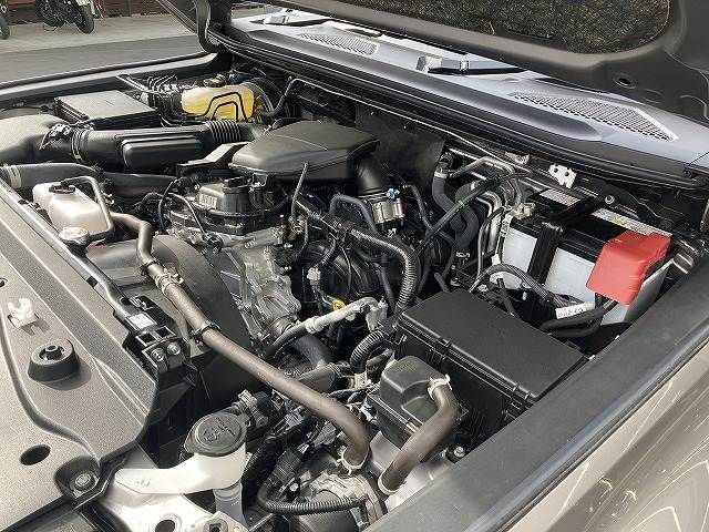 TOYOTA LANDCRUISER 250 2025 Image 31