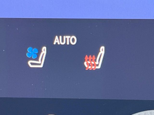 TOYOTA LEXUS NX350H 2024 Image 31