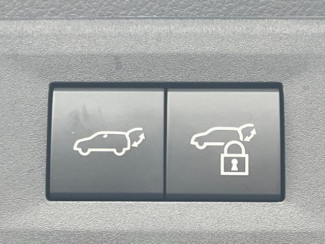 TOYOTA LEXUS NX350H 2024 Image 31