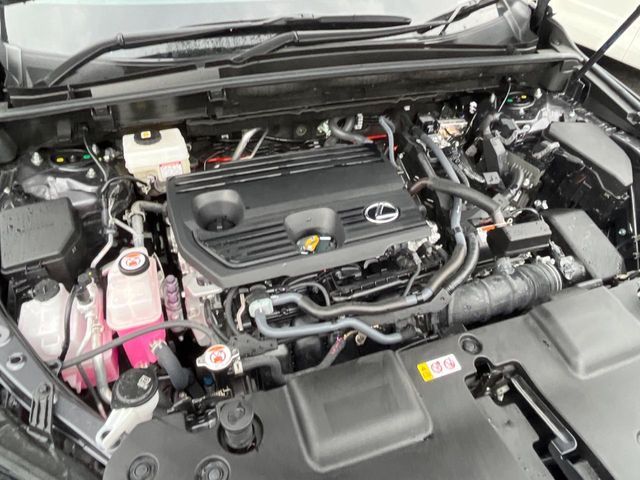 TOYOTA LEXUS NX350H 2024 Image 31