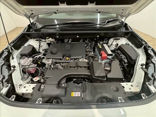 TOYOTA RAV4 4WD 2023 Image 31