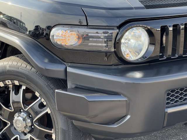 TOYOTA FJ CRUISER 4WD 2011 Image 31