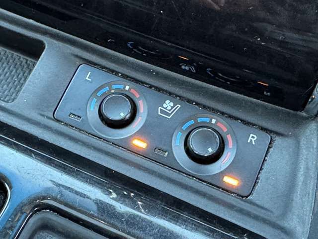 TOYOTA ALPHARD 2018 Image 31