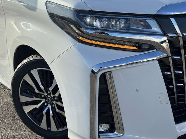 TOYOTA ALPHARD 2018 Image 31