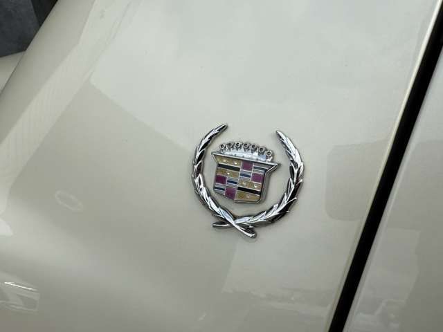 CADILLAC CONCOURS 1998 Image 31