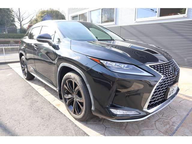 TOYOTA LEXUS RX300 2020 Image 31