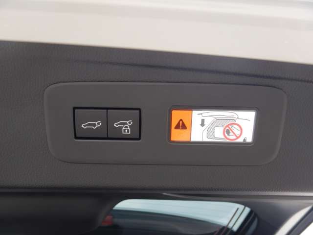 TOYOTA LANDCRUISER 250 2024 Image 31