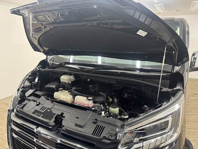 TOYOTA GRANACE 2020 Image 31