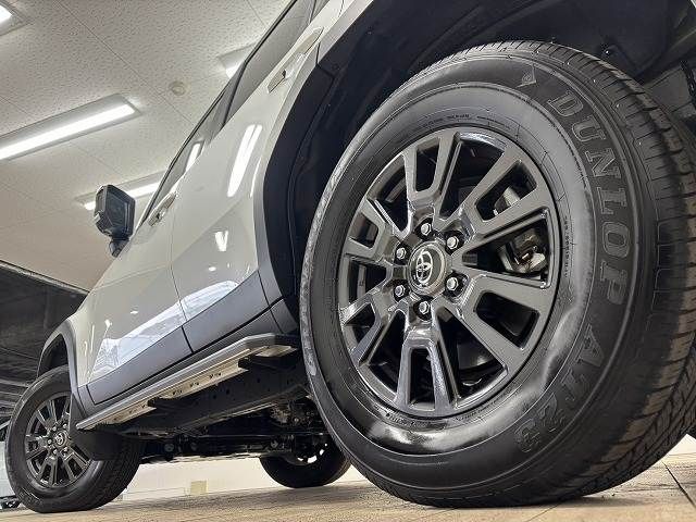 TOYOTA LANDCRUISER 250 2024 Image 31