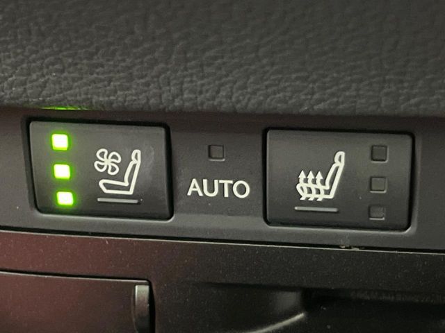 TOYOTA LEXUS ES300H 2019 Image 31