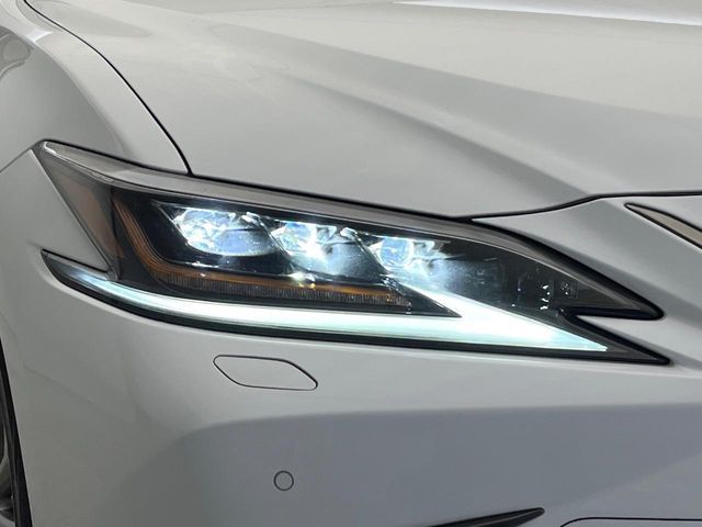 TOYOTA LEXUS ES300H 2019 Image 31