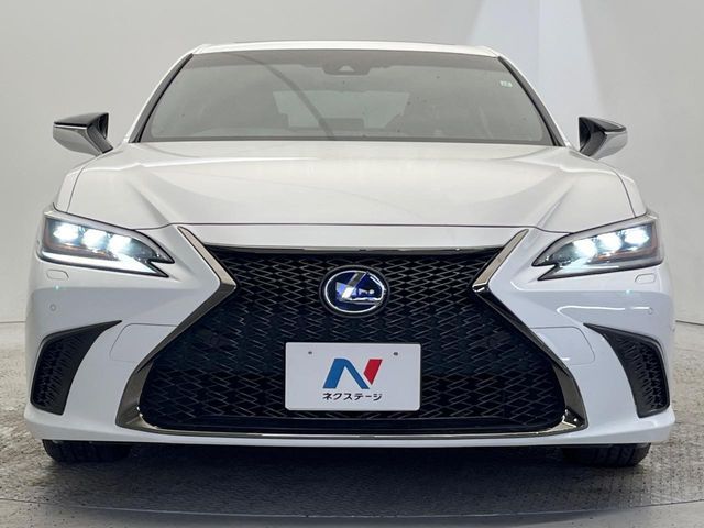 TOYOTA LEXUS ES300H 2019 Image 31