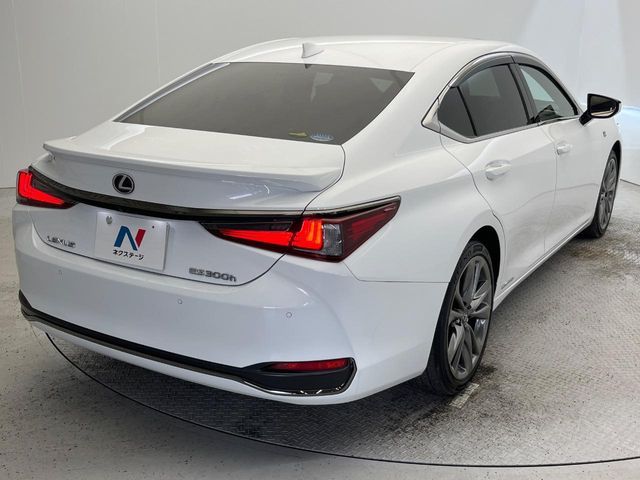 TOYOTA LEXUS ES300H 2019 Image 31