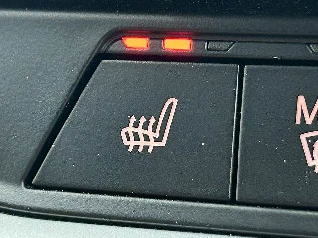 BMW 3SERIES SEDAN 2020 Image 31