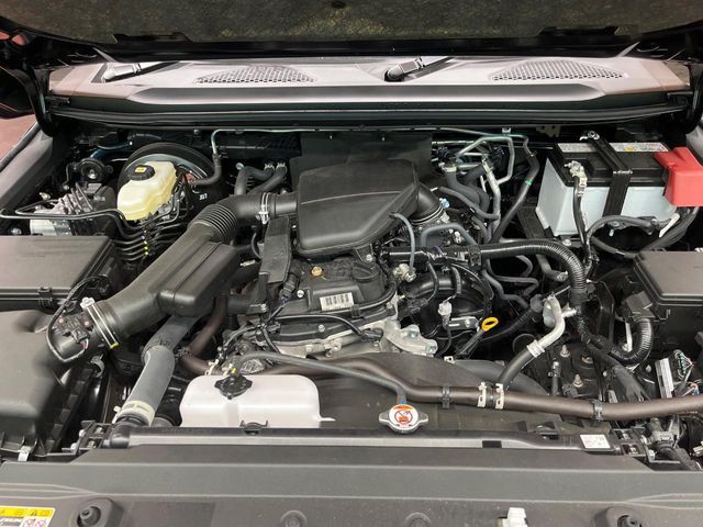 TOYOTA LANDCRUISER 250 2025 Image 31