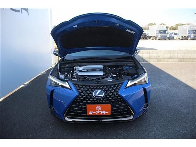 TOYOTA LEXUS UX250H 2021 Image 31