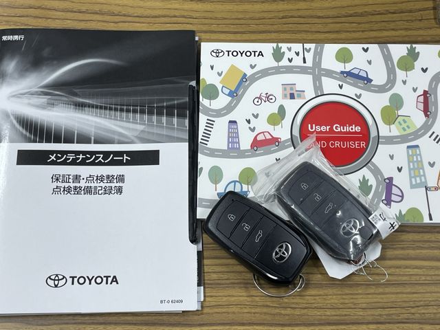 TOYOTA LANDCRUISER 250 2024 Image 31