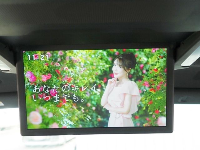 TOYOTA LEXUS LM500H 2024 Image 31