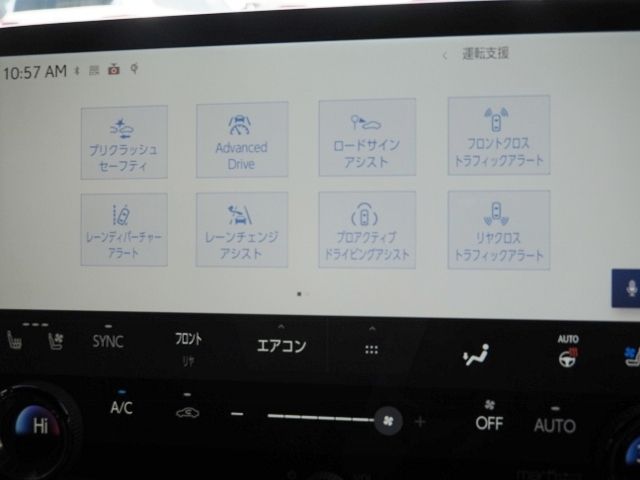 TOYOTA LEXUS LM500H 2024 Image 31