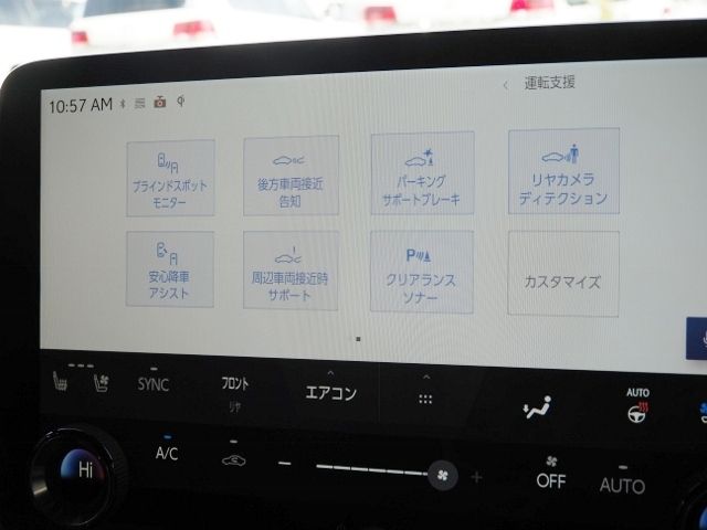 TOYOTA LEXUS LM500H 2024 Image 31