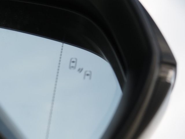 TOYOTA LEXUS LM500H 2024 Image 31