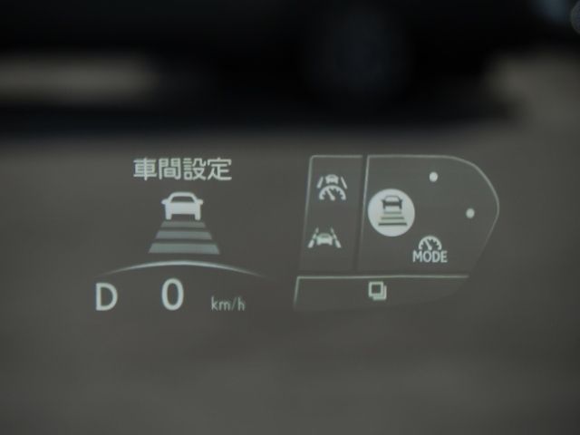 TOYOTA LEXUS LM500H 2024 Image 31