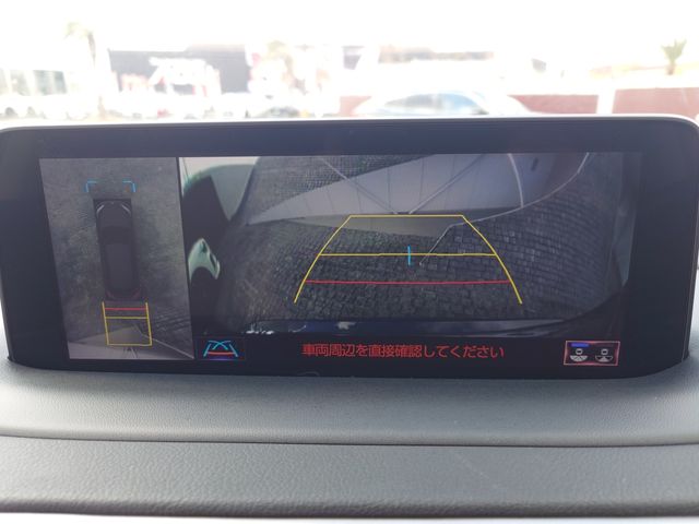 TOYOTA LEXUS RX450H 2WD 2019 Image 31