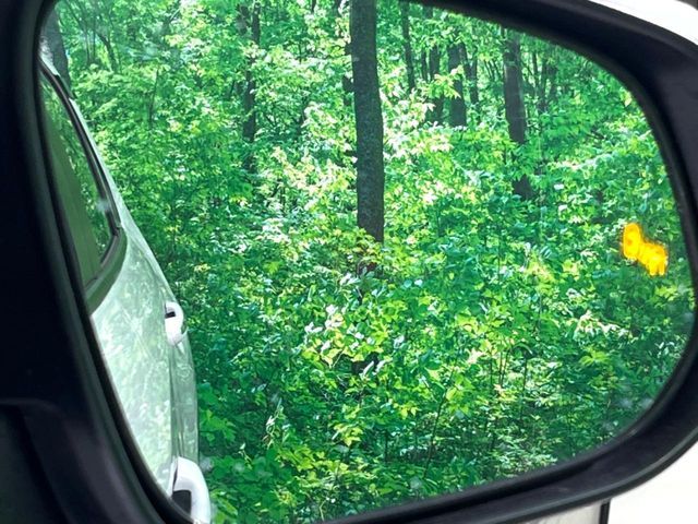 TOYOTA RAV4 HYBRID 4WD 2023 Image 31