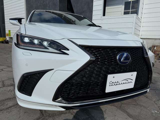 TOYOTA LEXUS ES300H 2019 Image 31