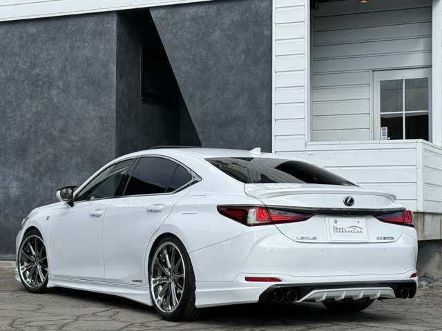 TOYOTA LEXUS ES300H 2019 Image 31