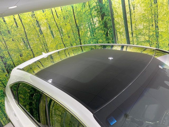 TOYOTA LEXUS NX300 2018 Image 31