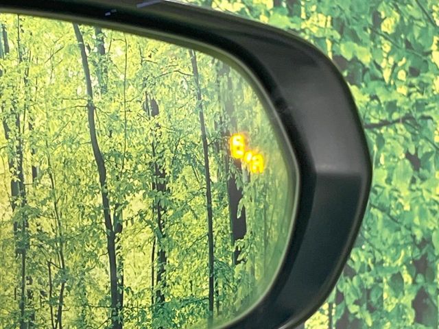 TOYOTA LEXUS NX300 2018 Image 31