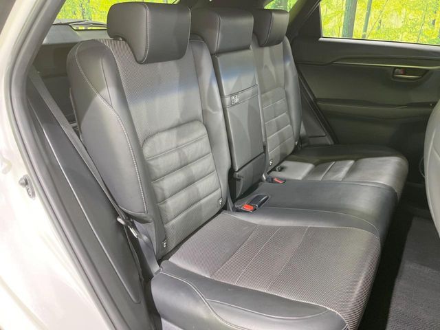 TOYOTA LEXUS NX300 2018 Image 31