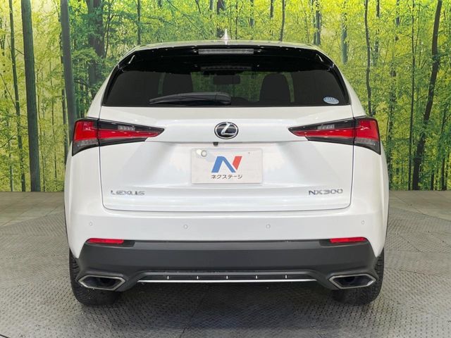 TOYOTA LEXUS NX300 2018 Image 31