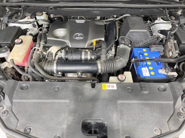 TOYOTA LEXUS NX300 2018 Image 31