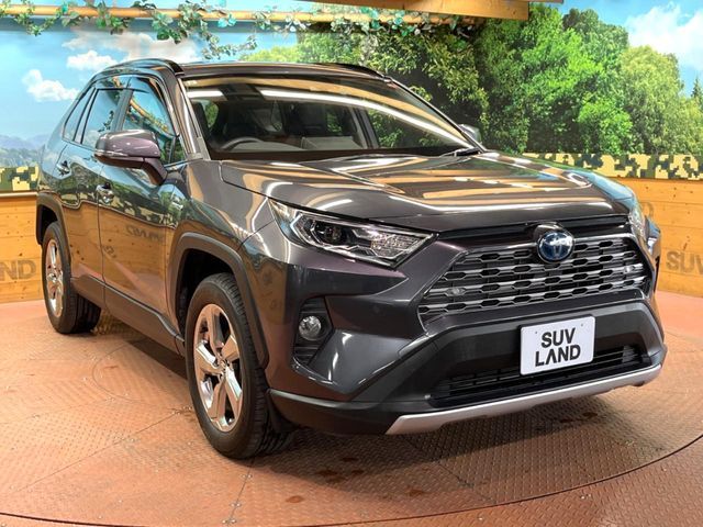 TOYOTA RAV4 HYBRID 4WD 2019 Image 31