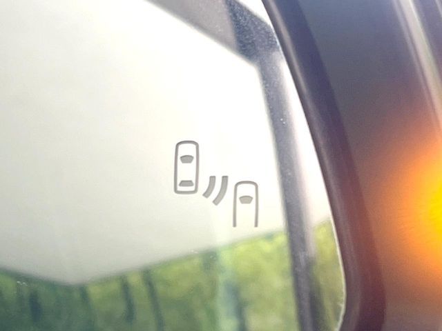 TOYOTA VELLFIRE 2019 Image 31