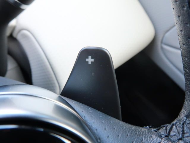 ROVER RANGE  EV 2019 Image 31