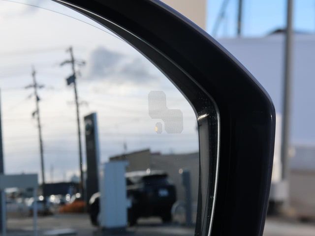 ROVER RANGE  EV 2019 Image 31